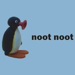 noot noot