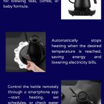 Smart Thermostat Electric Kettle