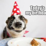 Yippee | Today's my birthday. | image tagged in birthday dog,happy birthday | made w/ Imgflip meme maker