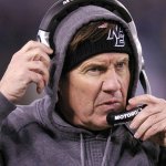 bill belichick