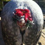 Horse tail bun Christmas decoration