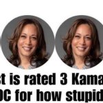 stupid