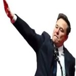 elon musk nazi