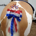 Horse tail ass patriotic USA