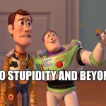 To stupidity | TO STUPIDITY AND BEYOND | image tagged in woody and buzz lightyear everywhere widescreen | made w/ Imgflip meme maker