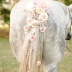 Horse tail ass flowers roses pink JPP