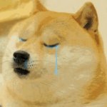 Crying Doge