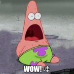 Suprised Patrick | WOW! 哇 | image tagged in suprised patrick | made w/ Imgflip meme maker