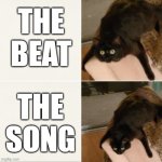 Give an example in the comments pls | THE BEAT; THE SONG | image tagged in dejected cat,beats,song,black,cat,lol so funny | made w/ Imgflip meme maker