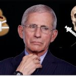 Dr Feces