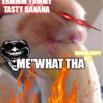 Hamster Banana Meme | ERMMM YUMMY TASTY BANANA; ME"WHAT THA; BANANA:HELPY MEY | image tagged in hamster banana meme | made w/ Imgflip meme maker