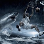 Shaq dunking on shark