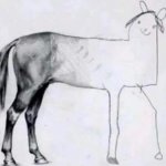 half drawn horse