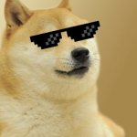 Doge w glasses