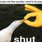 SHUT | guys give me free upvotes i want to be popula- | image tagged in shut | made w/ Imgflip meme maker