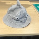 Shark Hat Mood