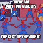 WELL WE TRIED | THERE ARE ONLY TWO GENDERS; THE REST OF THE WORLD | image tagged in same spider man 7 | made w/ Imgflip meme maker