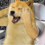 Doge scream