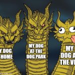 My dog | MY DOG AT THE DOG PARK; MY DOG AT THE VET; MY DOG AT HOME | image tagged in three-headed dragon | made w/ Imgflip meme maker