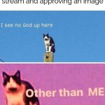 I love owning a stream. Once there are people in it it's gonna be the best feeling in the world. | How it feels owning a stream and approving an image | image tagged in hail pole cat,streams,approves | made w/ Imgflip meme maker