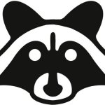 Raccoon mask