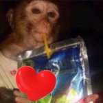 Caprisun monkey with heart