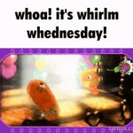 whoa! it's whirlm whednesday! GIF Template