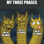 my three stages | MY THREE PHASES; ME AS A TEENAGER; ME IN 1ST GRADE; ME AS AN ADULT | image tagged in three-headed dragon,king ghidorah,derp | made w/ Imgflip meme maker