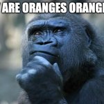 Deep thoughts, very deep indeed | WHY ARE ORANGES ORANGE??? | image tagged in deep thoughts | made w/ Imgflip meme maker