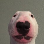 Walter