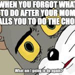 Unsettled Tom | WHEN YOU FORGOT WHAT TO DO AFTER YOUR MOM CALLS YOU TO DO THE CHORE; What am I going to do again? | image tagged in memes,unsettled tom | made w/ Imgflip meme maker