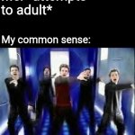 I'm 29 years old and neurodivergent ffs | Me: *attempts to adult*; My common sense: | image tagged in bye bye bye,adulting,adulting is hard,bruh,fr fr,memes | made w/ Imgflip meme maker