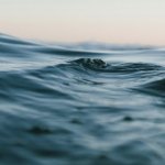 Wave.
