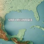 Gulfy McGulfface | GULFY MCGULFFACE | image tagged in gulf of what | made w/ Imgflip meme maker