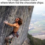 I would do anything for half a bag of those choccy chips | 6 year old me climbing the fridge because that's where Mom hid the chocolate chips: | image tagged in mountain climber,kids,funny,relatable,so true | made w/ Imgflip meme maker