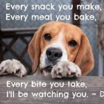 dogs are alike meme