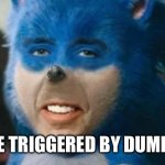 Meme creator | DON’T BE TRIGGERED BY DUMBASSES. | image tagged in meme creator | made w/ Imgflip meme maker