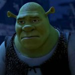 Sad shrek