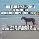 Man Horse Water | THE STATE OF CALIFORNIA LOOKING FOR SOMETHING TO PUT OUT FIRES 🔥; "YOU CAN LEAD A HORSE TO WATER YOU CAN'T MAKE IT DRINK IT" | image tagged in man horse water | made w/ Imgflip meme maker