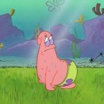 Patrick look right