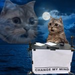 Change cat mind