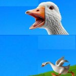 Angry Goose template