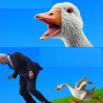 Angry Duck chasing Biden