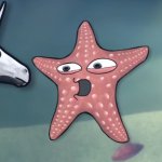 Starfish loves you