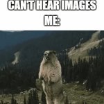 Can Anyone Hear A Sound Effect And Think Of The Original Meme | TEACHER: YOU CAN'T HEAR IMAGES; ME: | image tagged in gifs,memes,dank memes,meme,you can't hear pictures,beaver | made w/ Imgflip video-to-gif maker