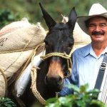 Juan Valdez