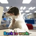 back to work GIF Template