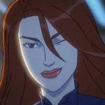 widow wink