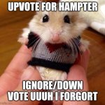 Hampster in sweater | UPVOTE FOR HAMPTER; IGNORE/DOWN VOTE UUUH I FORGORT | image tagged in hampster in sweater | made w/ Imgflip meme maker