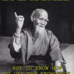 Wise man once said: | TO BE WISE IS NOT TO HAVE ALL THE KNOWLEDGE; BUT TO KNOW HOW TO USE THE KNOWLEDGE YOU HAVE - A WISE MAN | image tagged in wise old chinese man,true,wise man,wise,facts | made w/ Imgflip meme maker